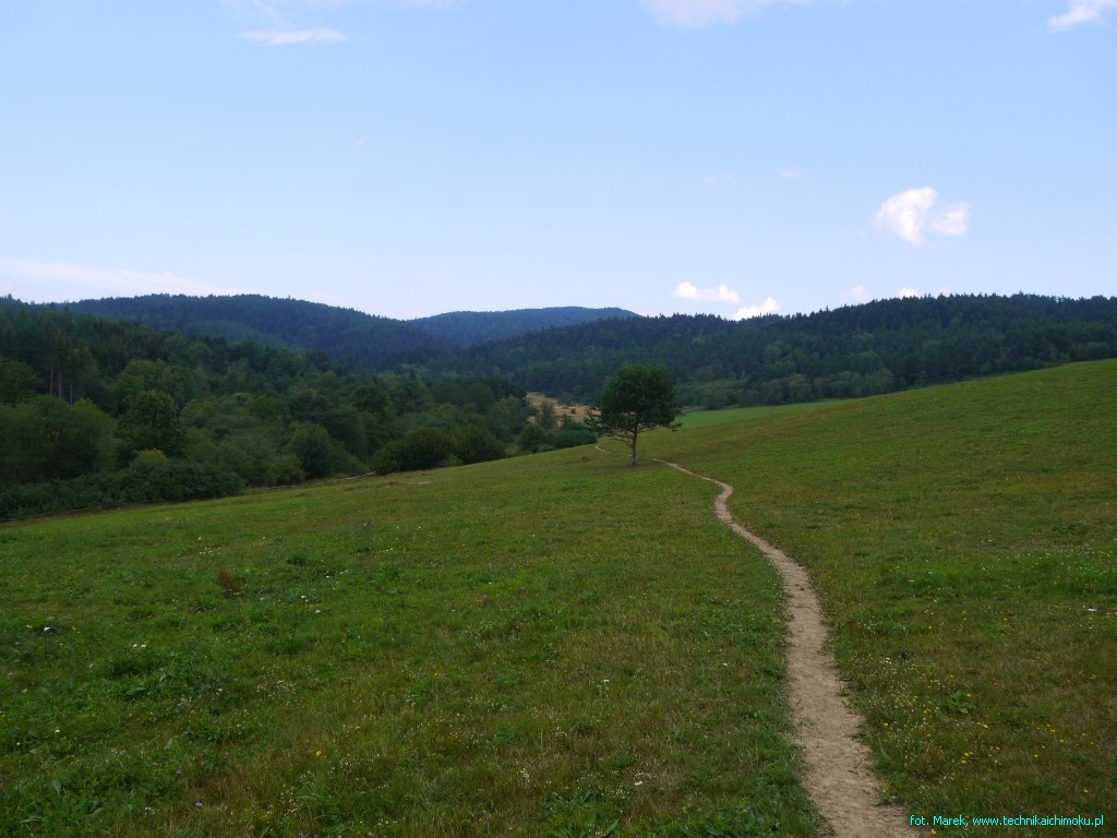 Bieszczady